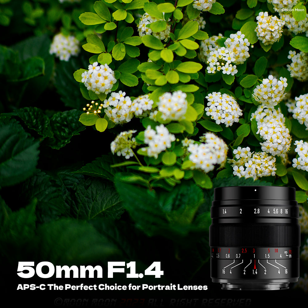 Brightin Star 50mm F1.4 APS-C Manual Focus Prime Lens for M43/Canon M/Fuji X/Sony E Mount