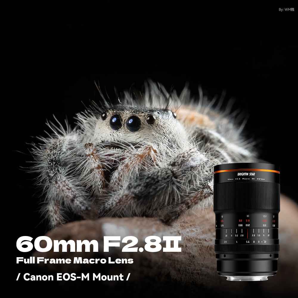 Brightin Star 60mm F2.8 II 2X Macro Magnification Manual Focus Lens Fit for Sony E/Canon M/Canon RF/Fuji X/Nikon Z/M43 Mount
