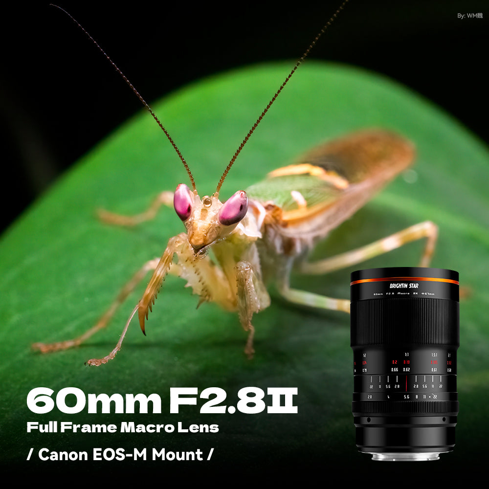 60mm F2.8 II 2X Macro Magnification Manual Focus Mirrorless Camera Lens, Fit for Canon EOS-M Mount