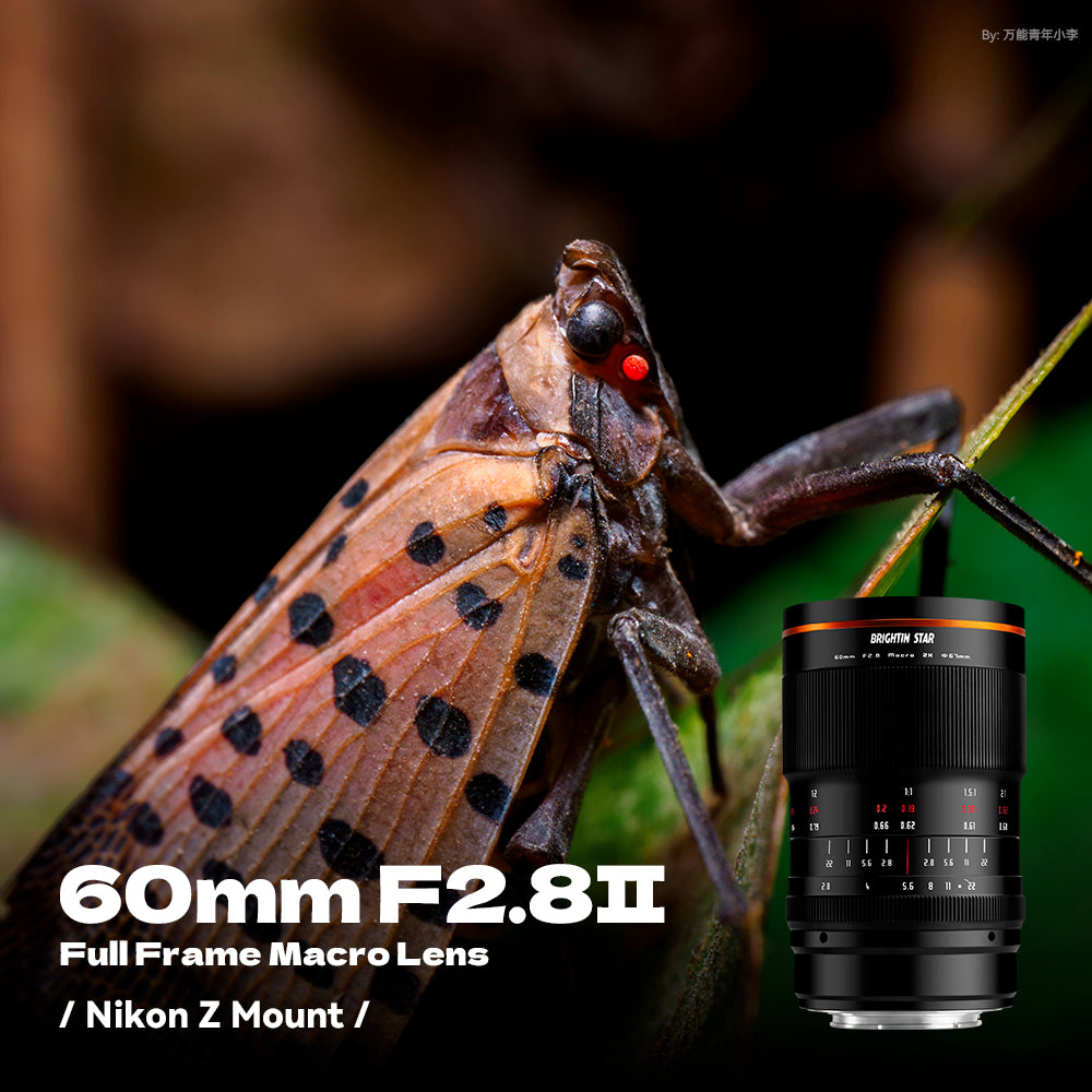 60mm F2.8 II 2X Macro Magnification Manual Focus Mirrorless Camera Lens, Fit for Canon EOS-M Mount