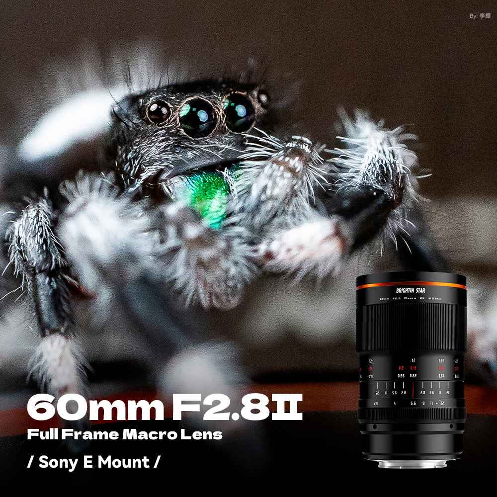 60mm F2.8 II 2X Macro Magnification Manual Focus Mirrorless Camera Lens Fit for Canon RF Mount