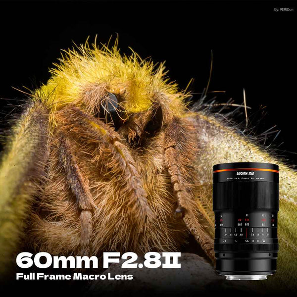 60mm F2.8 II 2X Macro Magnification Manual Focus Mirrorless Camera Lens, Fit for Sony E-Mount