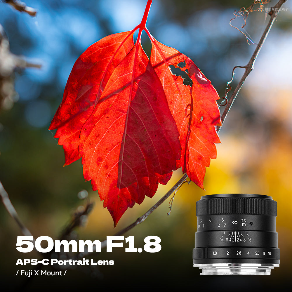 50mm F1.8 Portrait Manual Focus Lens - Brightin Star