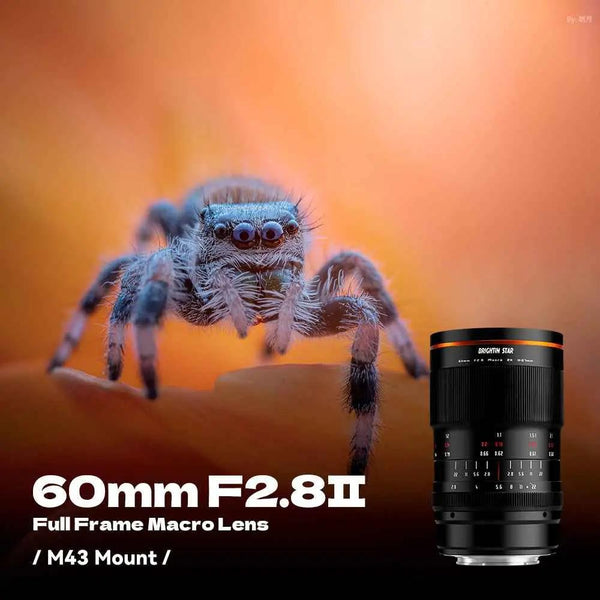 60mm F2.8 II 2X Macro Magnification Manual Focus Mirrorless Camera Lens, Fit for Nikon Z Mount