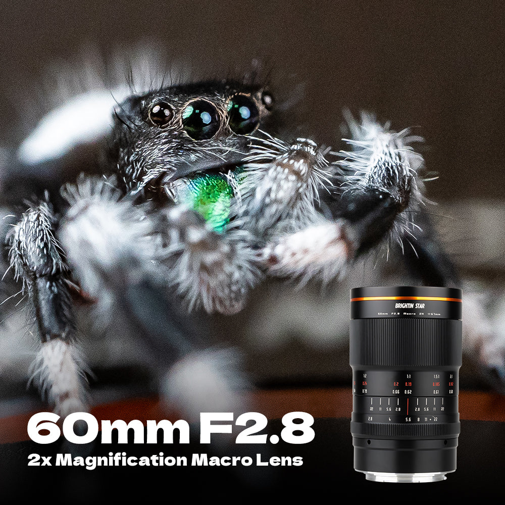 60mm F2.8 II 2X Macro Magnification Manual Focus Mirrorless Camera Lens, Compatible with M43 Mount Cameras