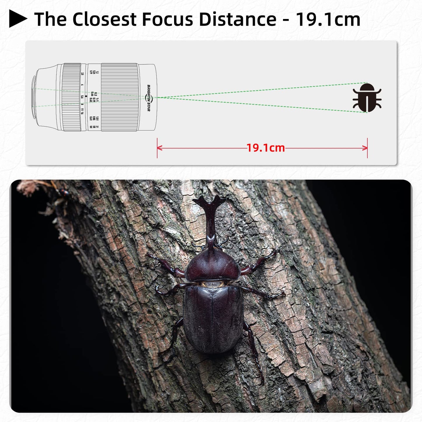 60mm F2.8 2X Macro Magnification Manual Focus Mirrorless Camera Lens, Fit for Fuji X Mount